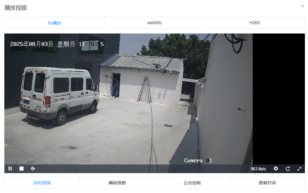 视频分析与监控平台