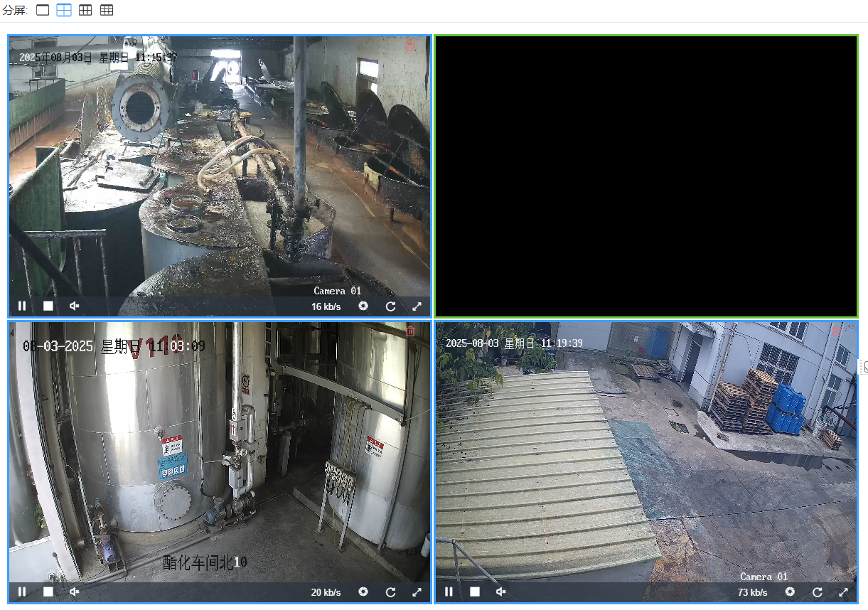 视频分析与监控平台